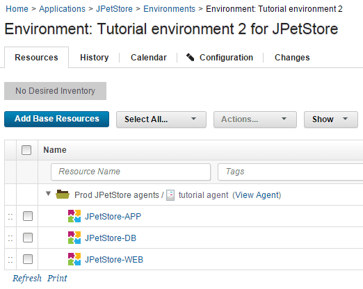 The Resources tab for the environment, showing the agent with three components that are mapped to it